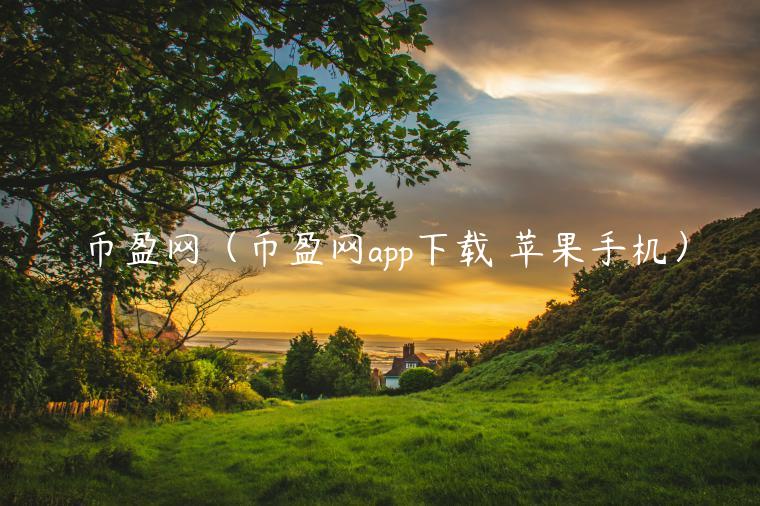 币盈网（币盈网app下载 苹果手机）-第1张图片-交易所